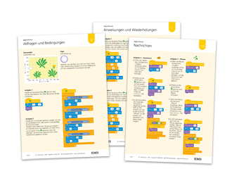EMS Kraus - Aufbaukurs Informatik Schrittweiser Aufbau Scratch