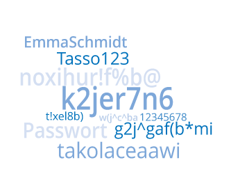 EMS Kraus - Aufbaukurs Informatik Sichere Passwörter