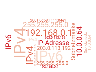 EMS Kraus - Lokale und öffentliche IP-Adressen